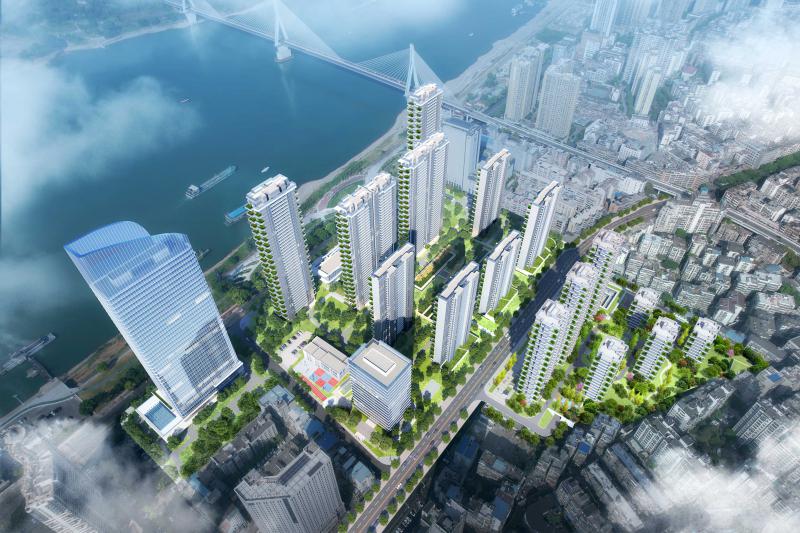 关于长江天序小区前期物业服务中标公告